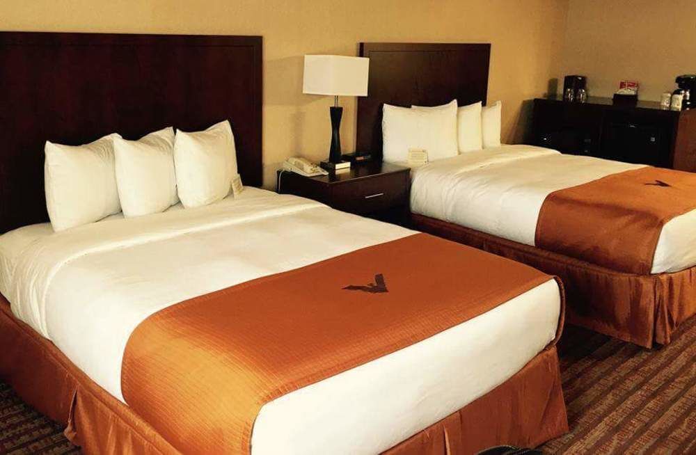 Phoenix Inn Suites Albany Dış mekan fotoğraf